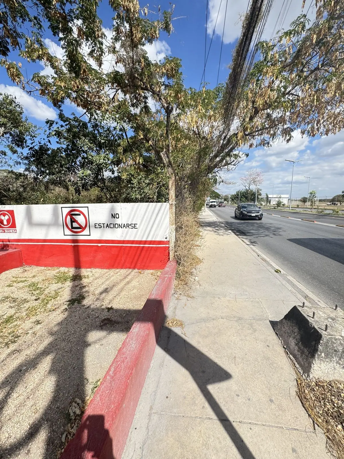 Terreno con construcción en Avenida Principal Aeropuerto Mérida Yucatan — foto 3