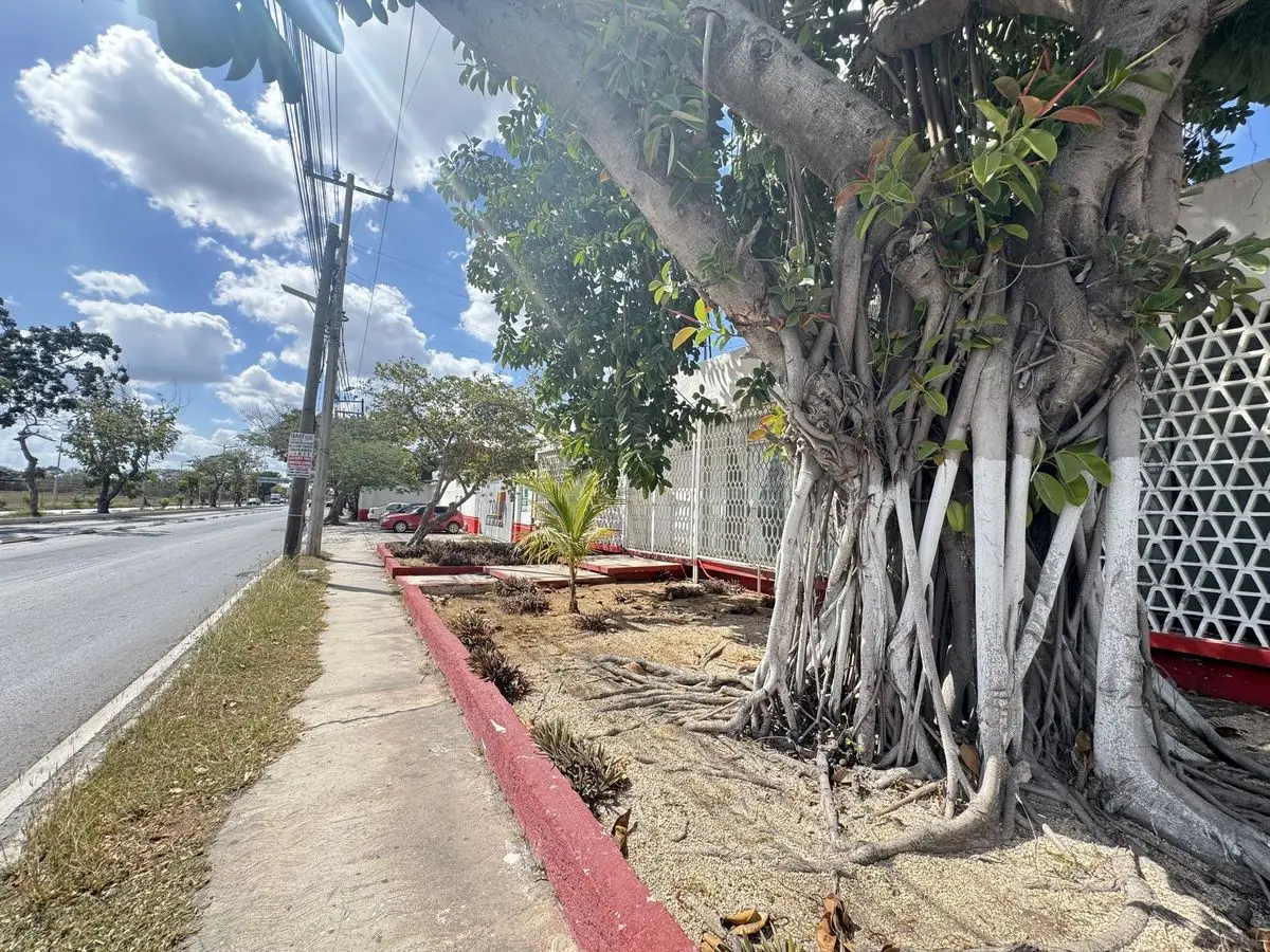 Terreno con construcción en Avenida Principal Aeropuerto Mérida Yucatan — foto 5