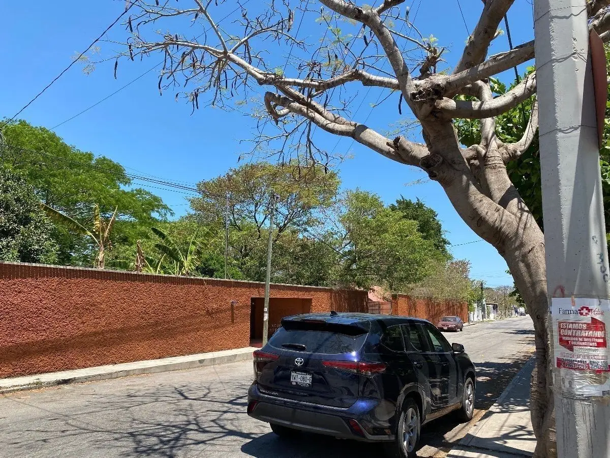 Terreno en Xcumpich-Merida — foto 6