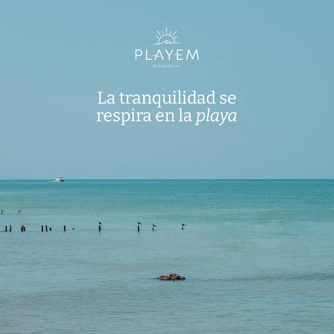 Terreno Residencial en la playa en Chelem, Yucatan. — foto 4