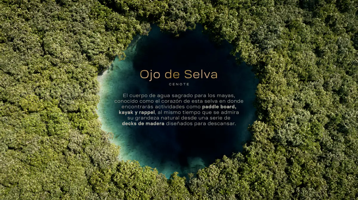 Lotes residenciales dentro del club Entreselvas proyecto eco-céntrico — foto 3