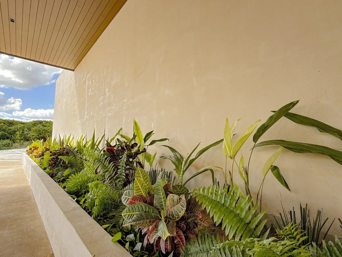 Lotes Premium en privada residencial cerca del Yucatán Country Club, Mérida — foto 4