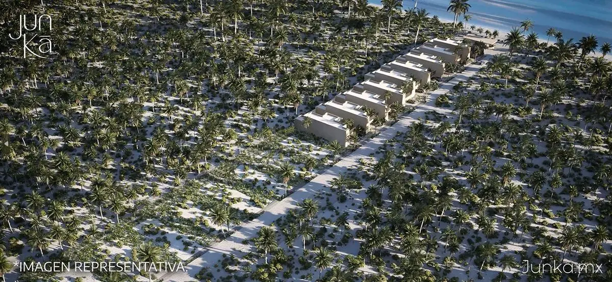Terreno en la playa de Sisal — foto 3