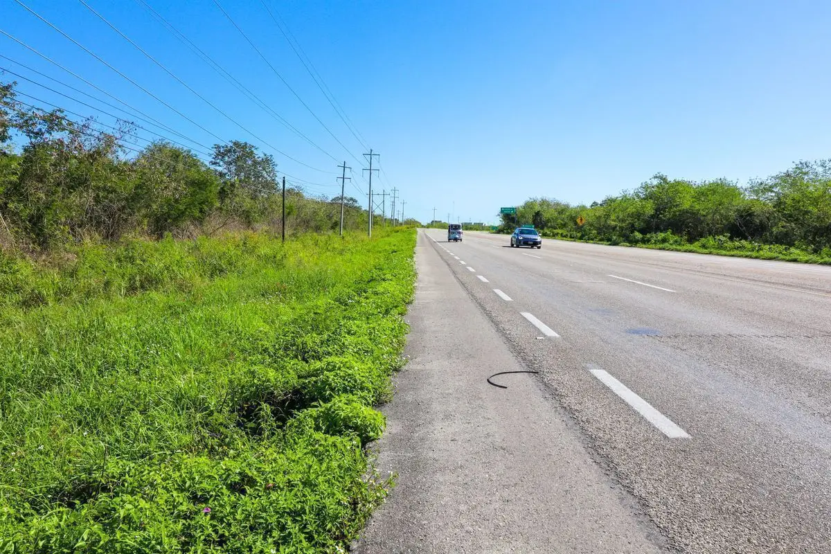 Terreno en venta de 10 hectáreas sobre carretera Motul - Mérida. — foto 3