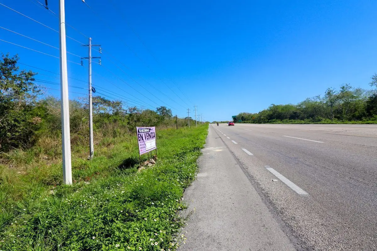 Terreno en venta de 10 hectáreas sobre carretera Motul - Mérida. — foto 4