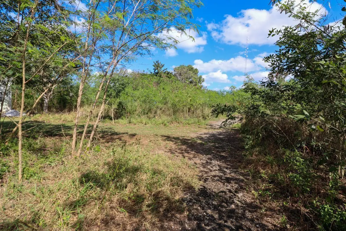Terreno en venta en Conkal — foto 5