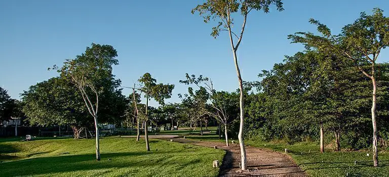 Departamento Planta Baja en VENTA Tanna CABO NORTE |ENTREGA INMEDIATA| — foto 4