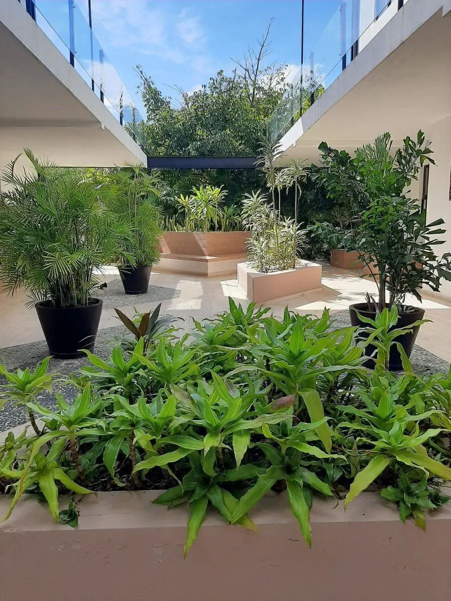 Departamento Planta Baja en VENTA Tanna CABO NORTE |ENTREGA INMEDIATA| — foto 6