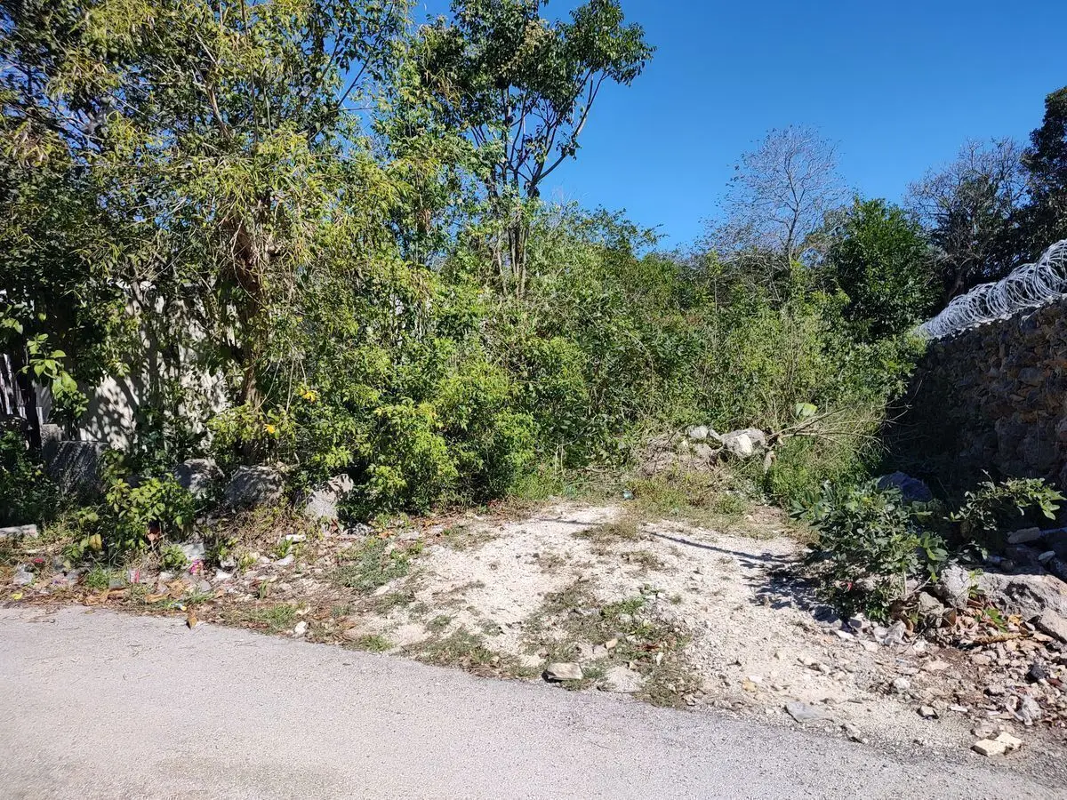 Oportunidad única!!! Terreno con servicios en Motul — foto 3