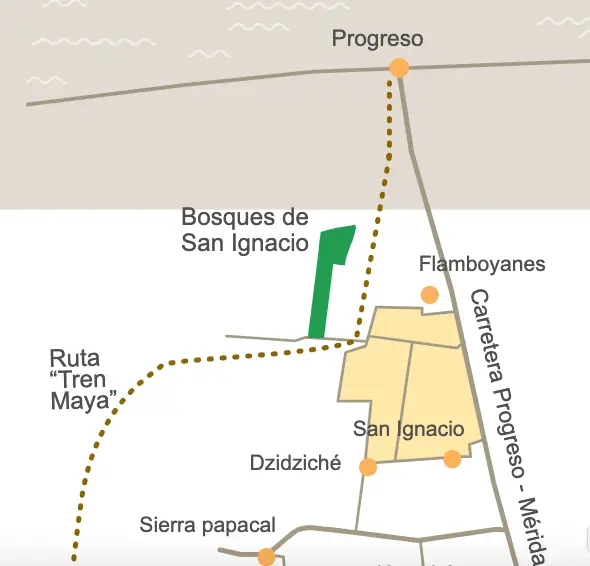 Lotes de inversión al norte de Mérida — foto 2