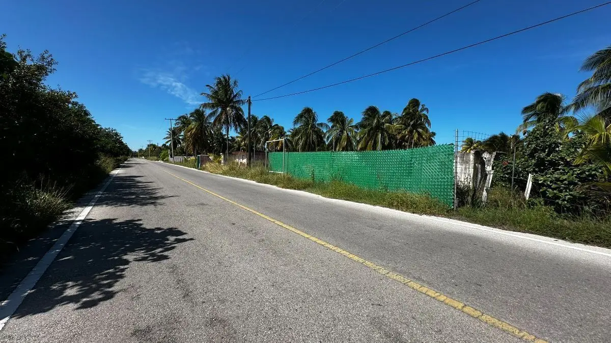 Terrenos en venta en San Crisanto — foto 2