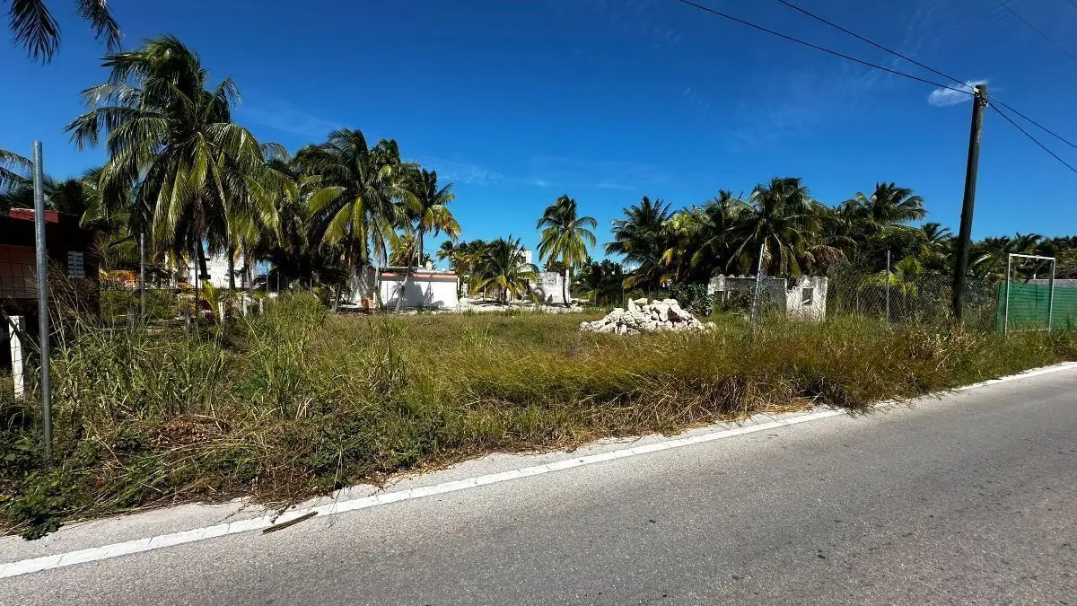 Terrenos en venta en San Crisanto — foto 4