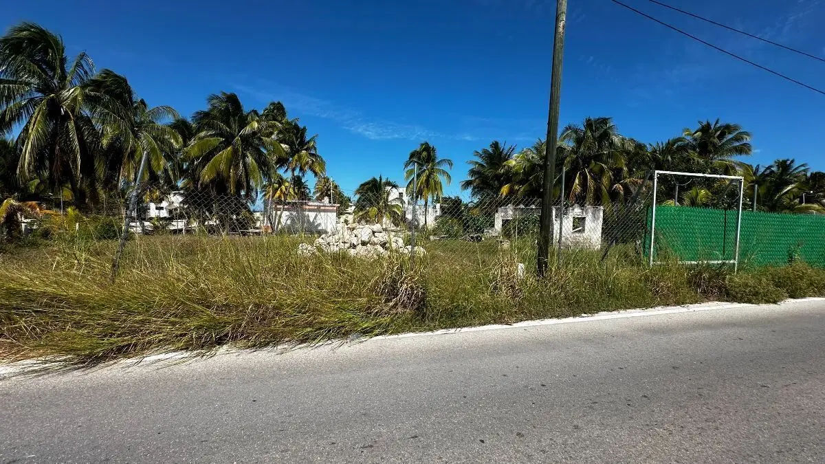 Terrenos en venta en San Crisanto — foto 5