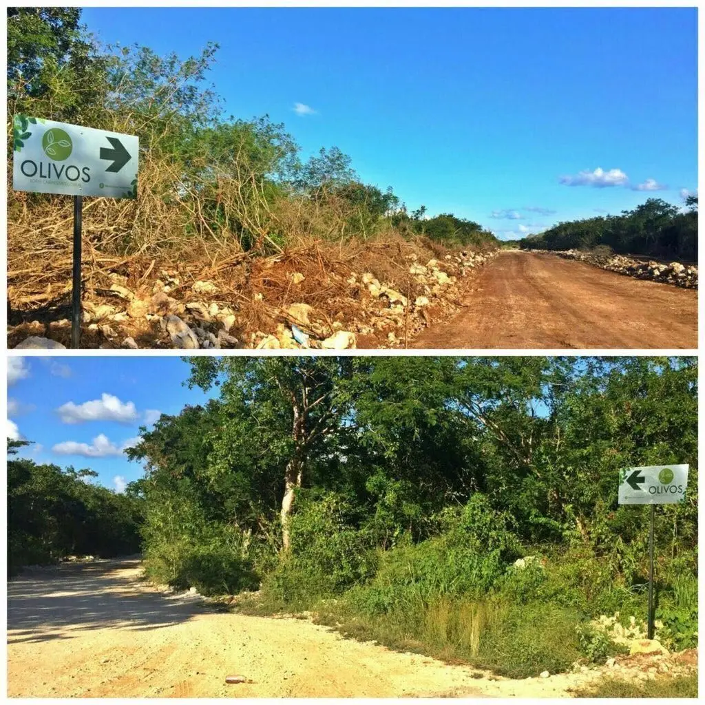 Oportunidad de inversión en Olivos Conkal — foto 3