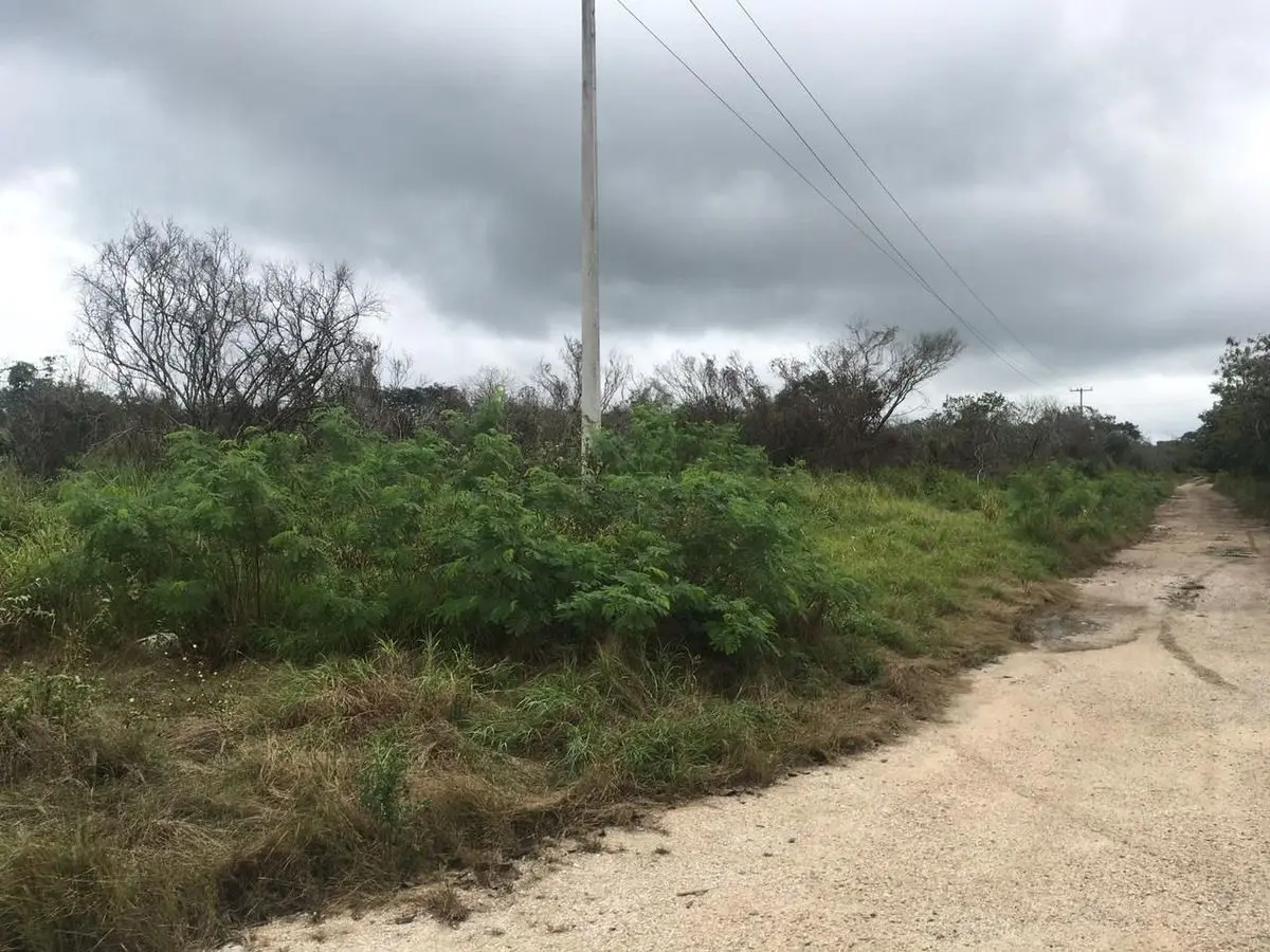Oportunidad de inversión, 1 Hectárea en venta en Anayansi