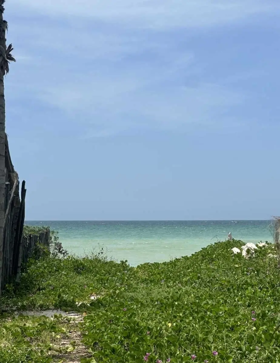 Terreno en Venta en Playa de San Benito, Yucatan/ a 250mts del mar