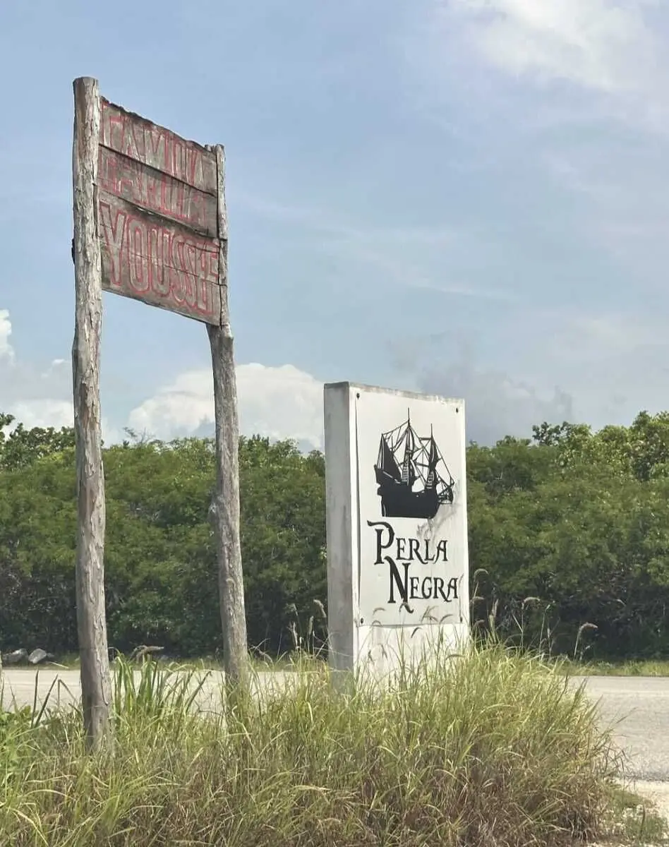 Terreno en Venta en Playa de San Benito, Yucatan/ a 250mts del mar — foto 5
