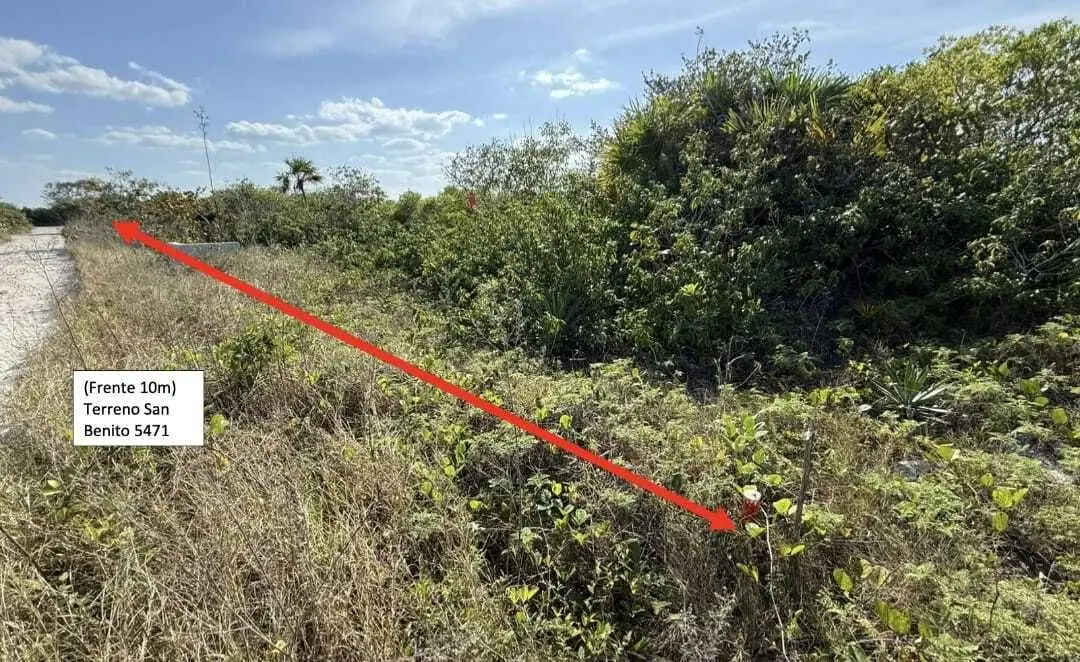 Terreno en Venta en Playa de San Benito, Yucatan/ a 250mts del mar — foto 6