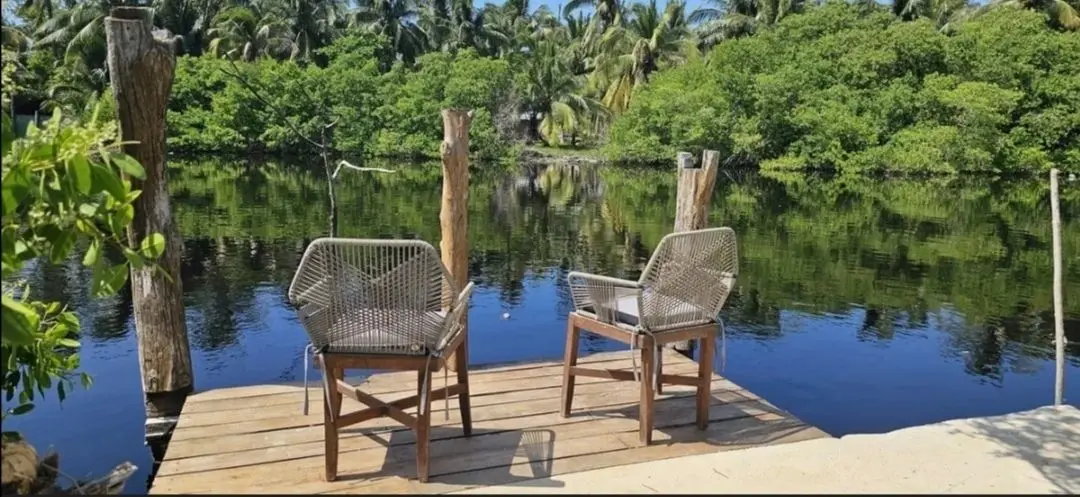 Casa Manglar en Venta en San crisanto,Yucatan — foto 6