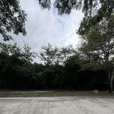 Terreno en venta en Yucatán Country Club — foto 6