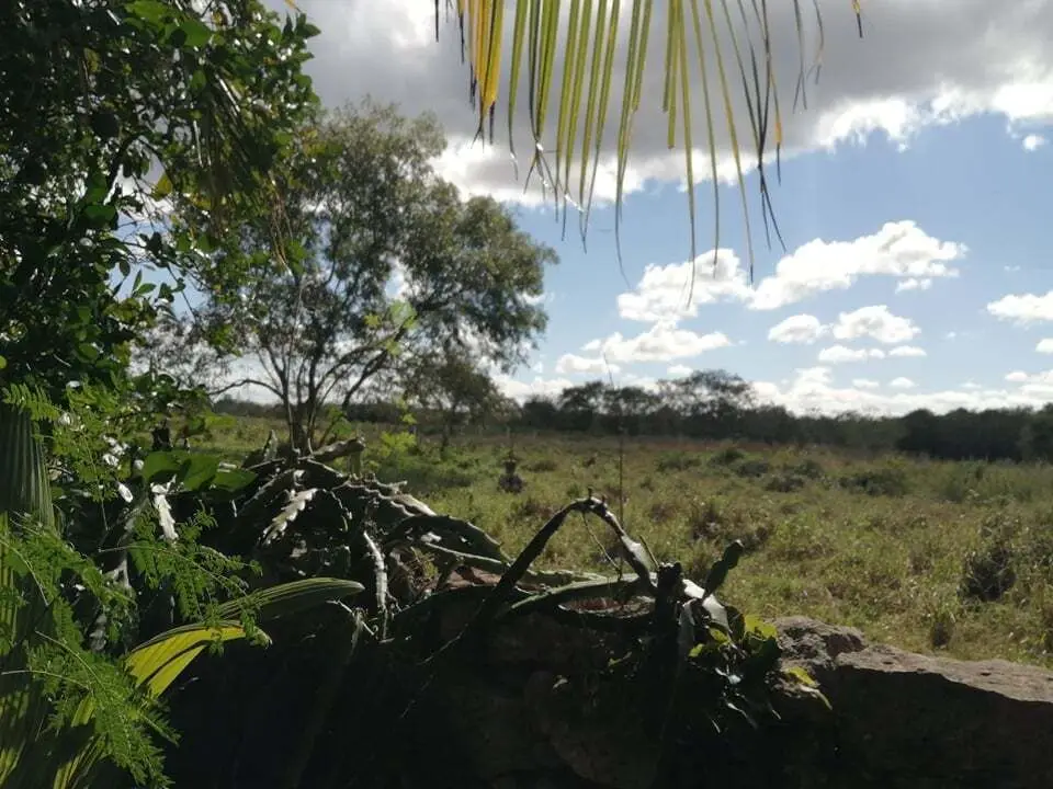 Terreno en Venta con Construccion y Alberca en Sinanche Yucatan — foto 3