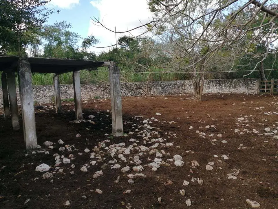 Terreno en Venta con Construccion y Alberca en Sinanche Yucatan — foto 4