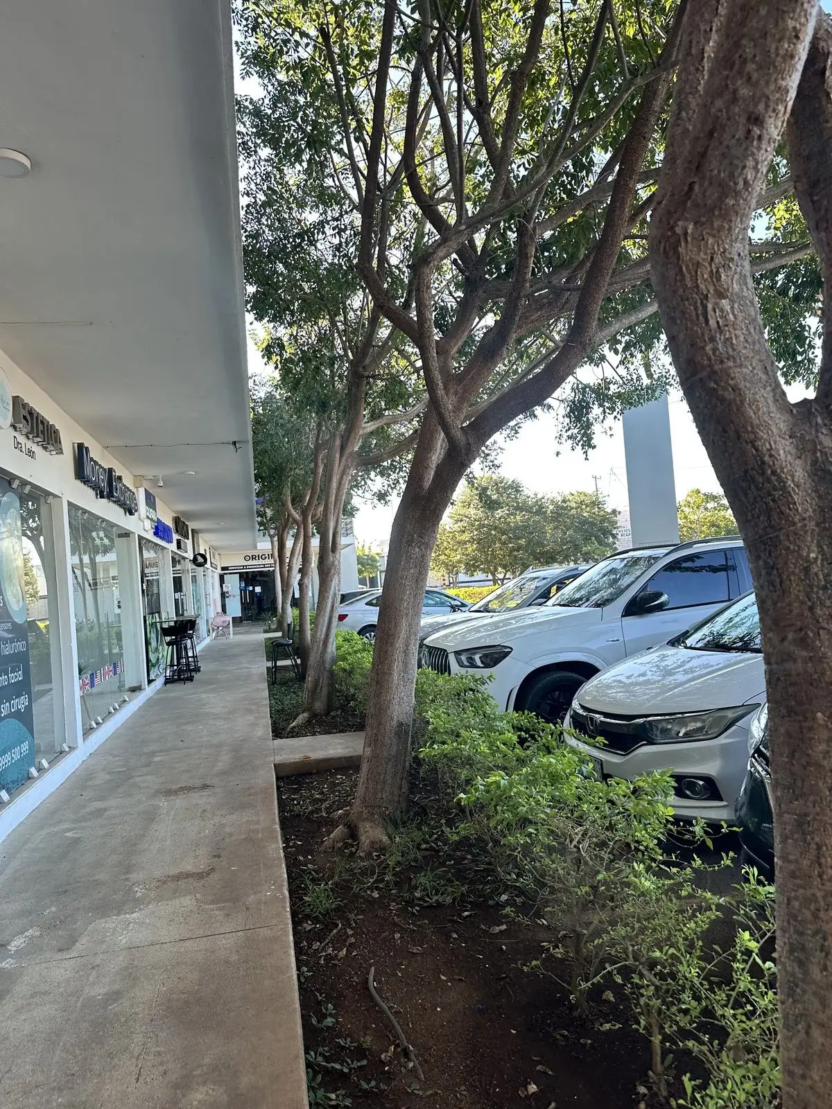Local en Plaza Comercial en Planta Baja — foto 3