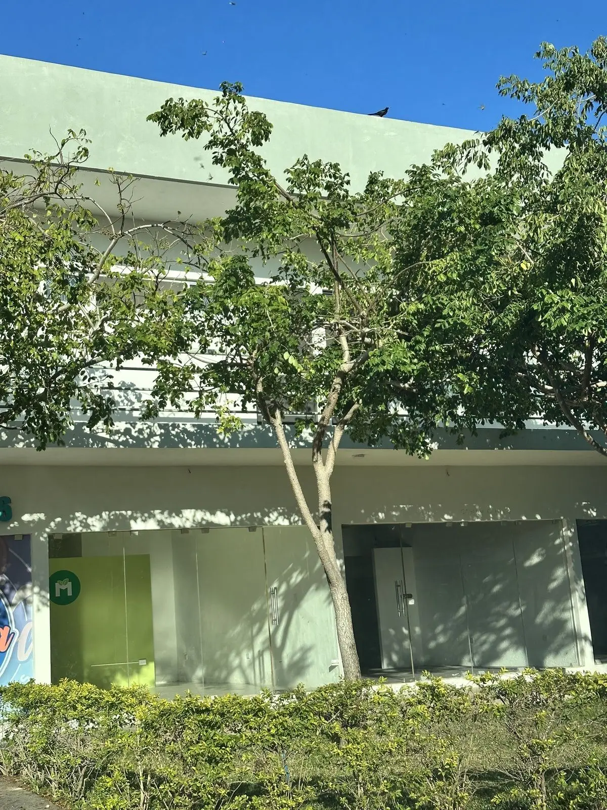 Local en Plaza Comercial en Planta Baja — foto 4