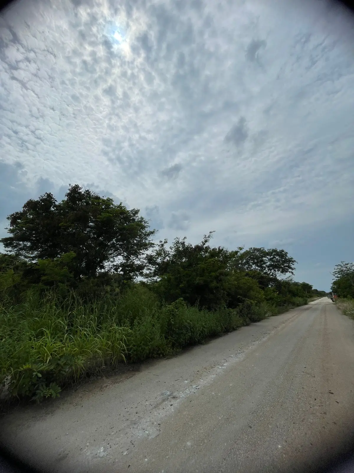 Terreno en Venta | Dzitya | Entrega Inmediata — foto 4