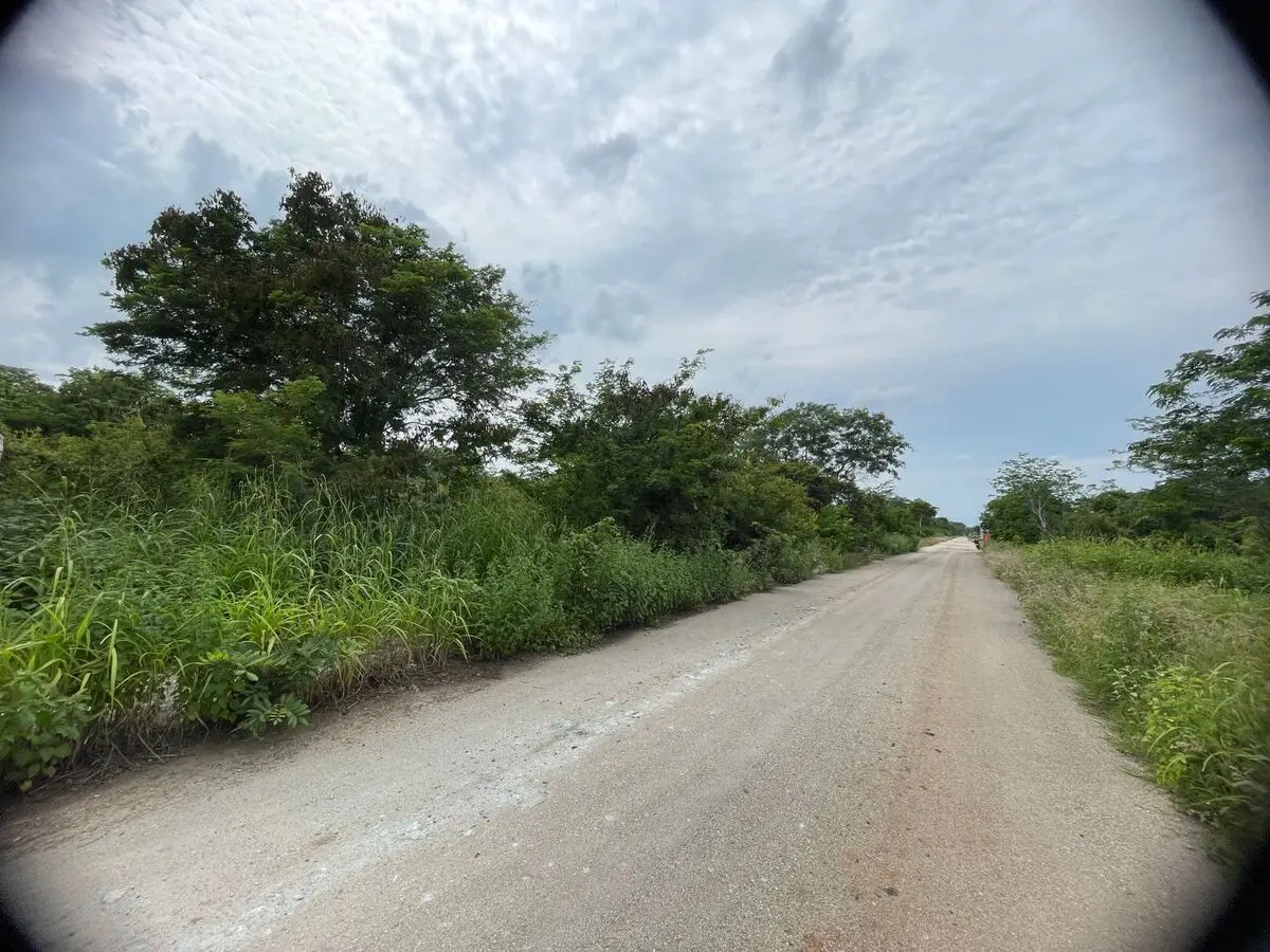 Terreno en Venta | Dzitya | Entrega Inmediata — foto 5