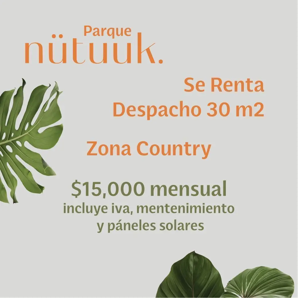 Despacho o local en renta en zona Country — foto 3