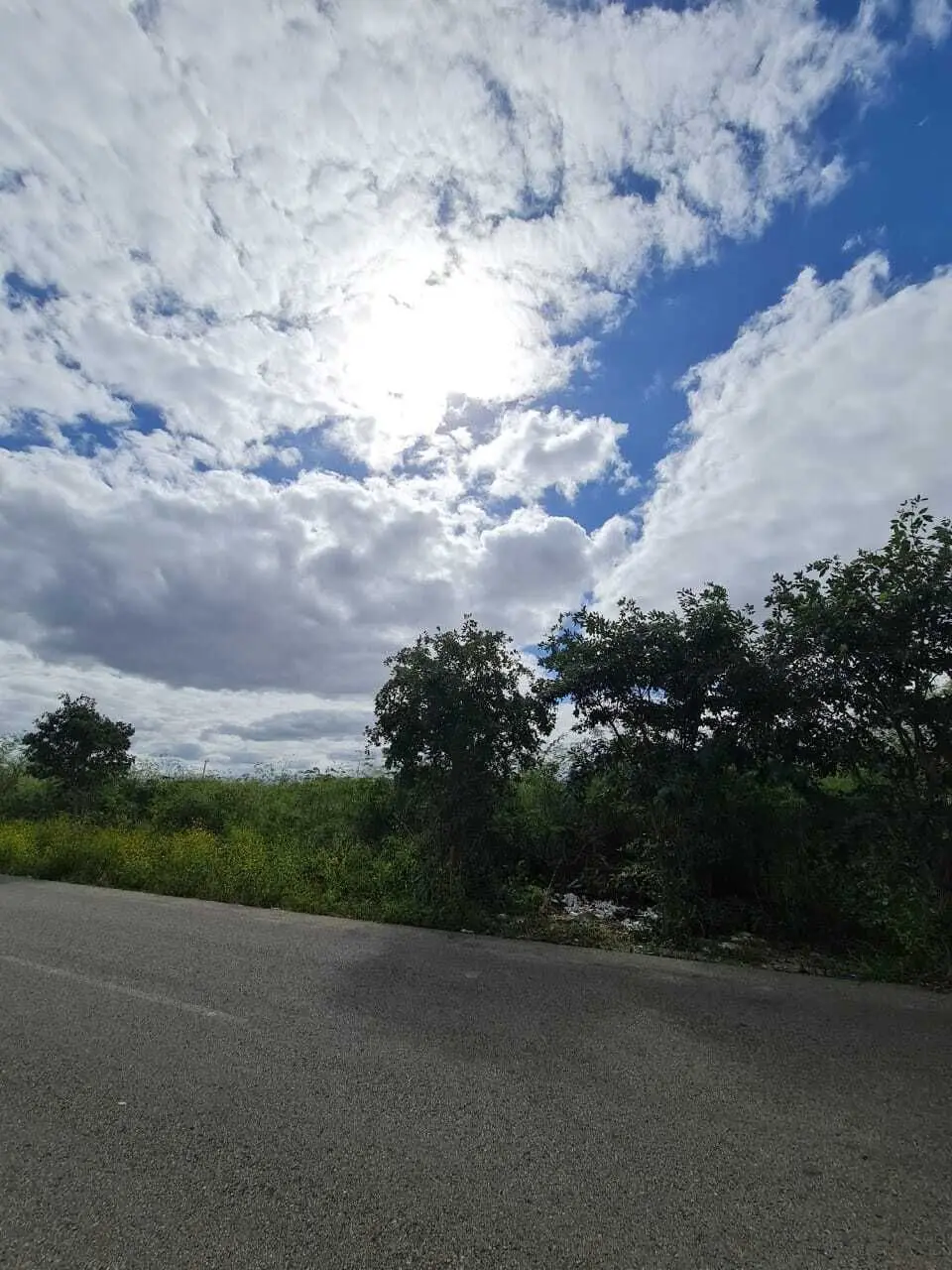 Atención desarrolladores, terreno en venta sobre avenida — foto 2