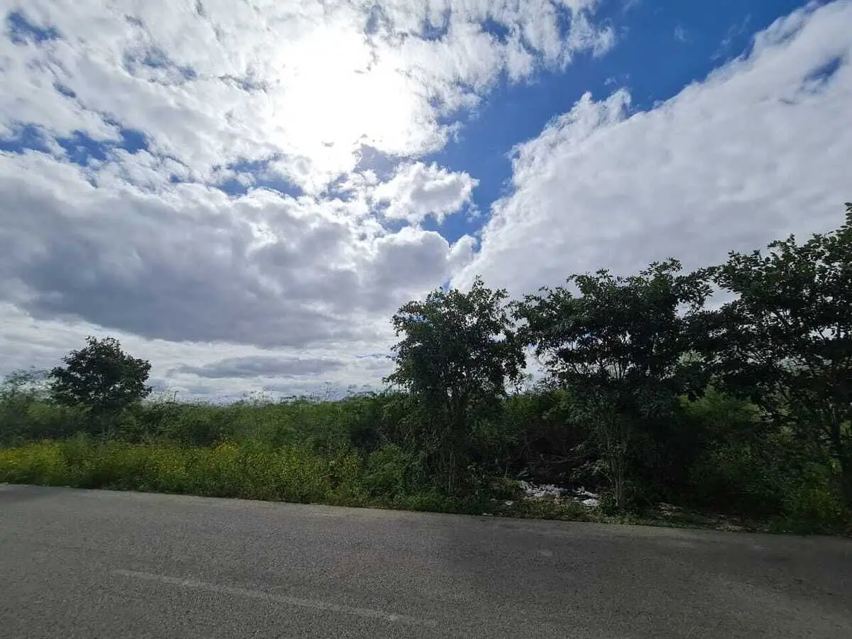 Atención desarrolladores, terreno en venta sobre avenida — foto 3