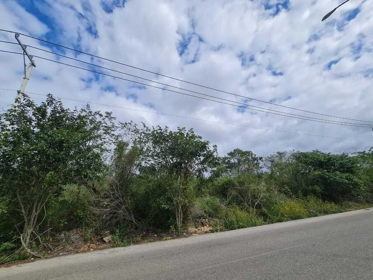 Atención desarrolladores, terreno en venta sobre avenida — foto 4