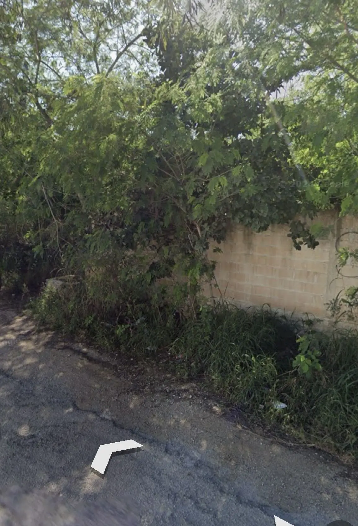 Terreno en venta en Temozón norte ideal para inversionistas — foto 3
