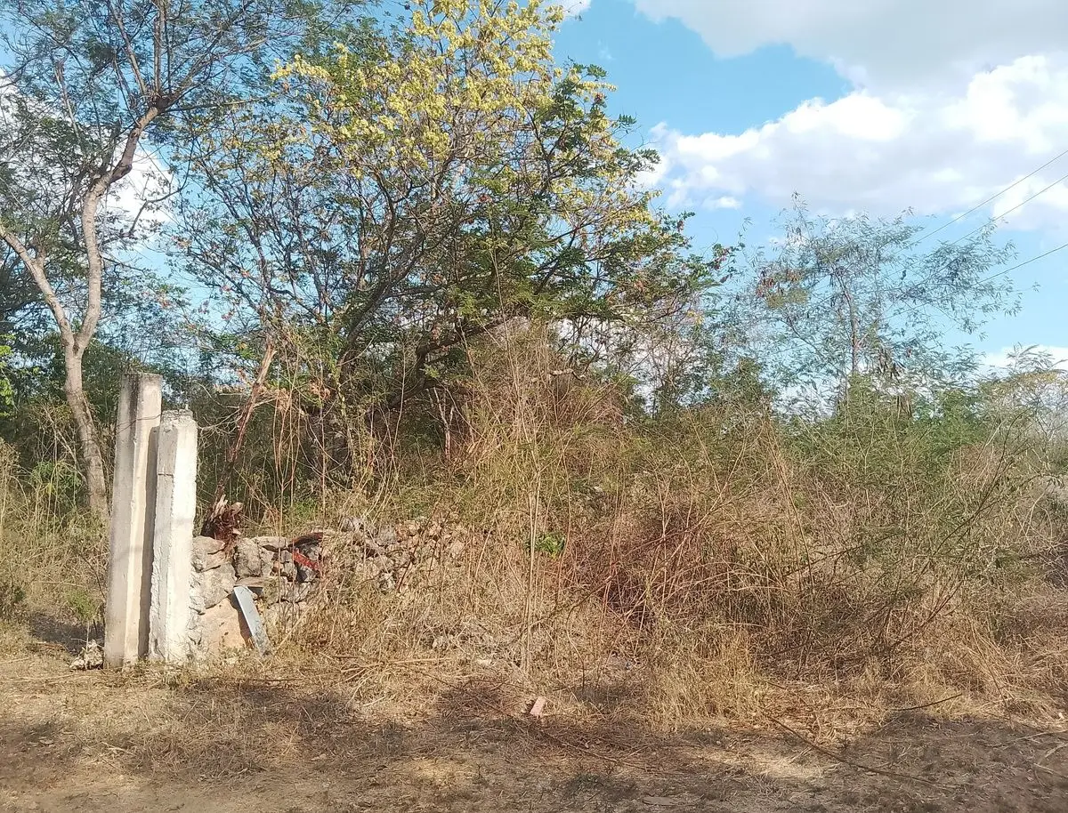 Terreno por la 42 en Jardines de Tahdzibichen — foto 2
