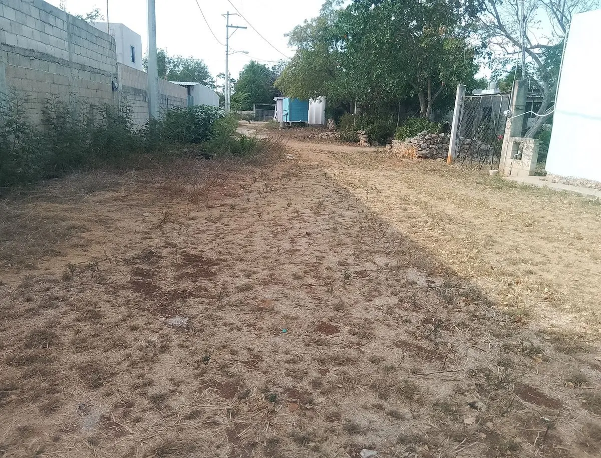 Terreno por la 42 en Jardines de Tahdzibichen — foto 3
