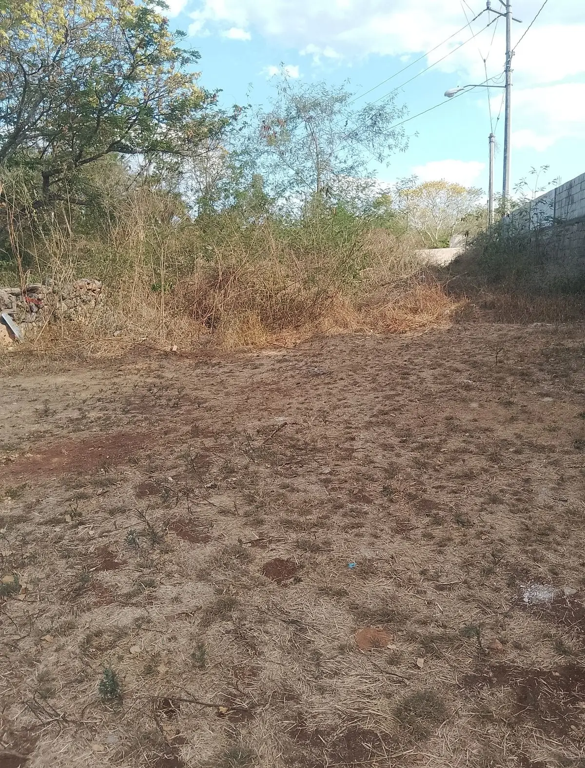 Terreno por la 42 en Jardines de Tahdzibichen — foto 4
