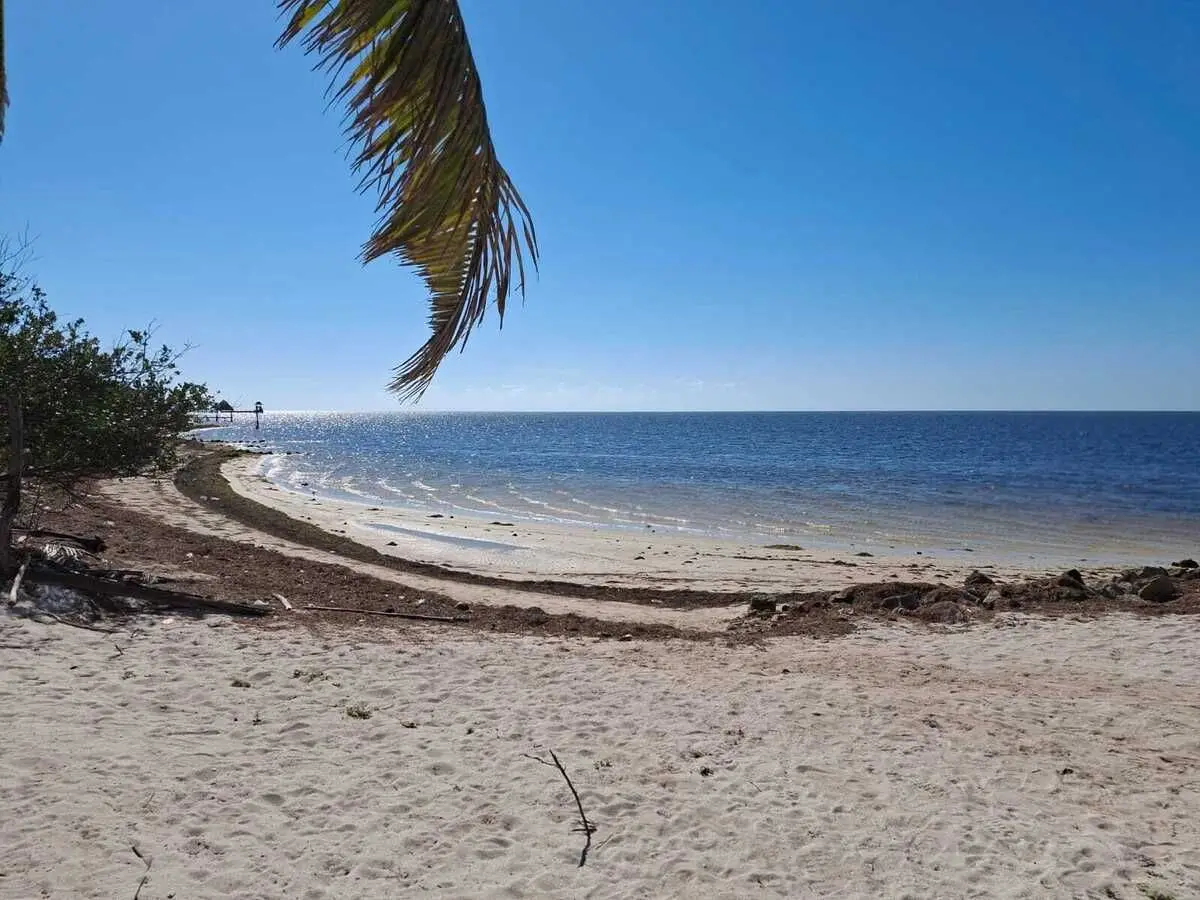 Terreno en Venta en Playa San Benito/Lateral/Km 21.5 — foto 3