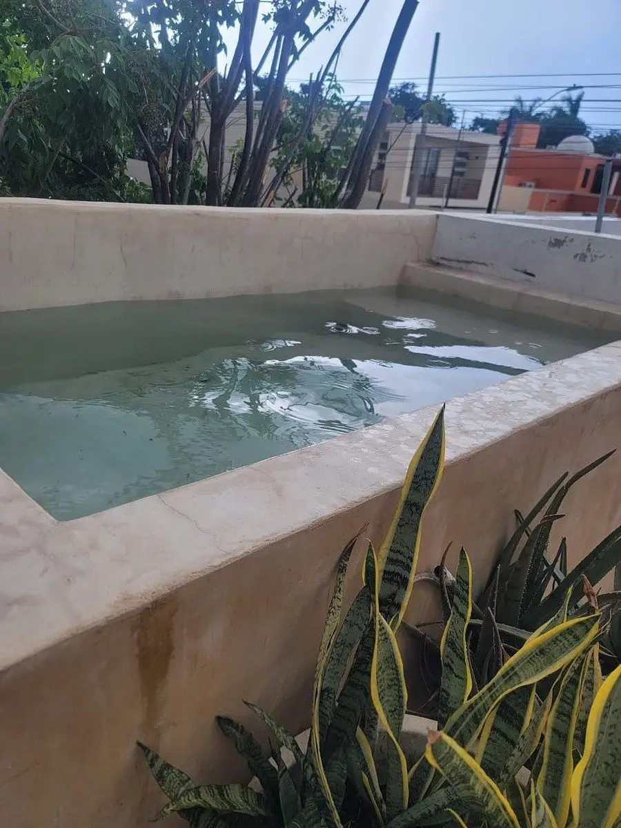 Departamento Amueblado en Sodzil Norte — foto 3