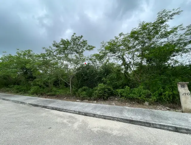 Terreno en Venta en Yaxlum Conkal | Lote 278 | Entrega Inmediata | — foto 2