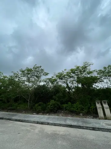 Terreno en Venta en Yaxlum Conkal | Lote 278 | Entrega Inmediata | — foto 3