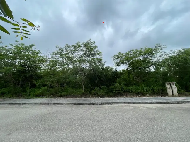 Terreno en Venta en Yaxlum Conkal | Lote 278 | Entrega Inmediata | — foto 4