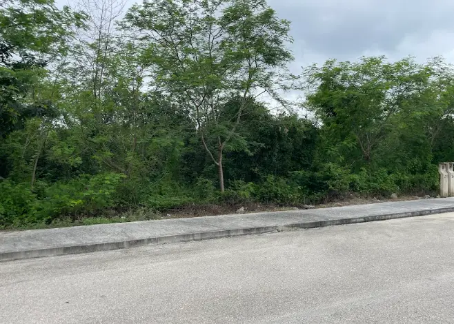 Terreno en Venta en Yaxlum Conkal | Lote 278 | Entrega Inmediata | — foto 5