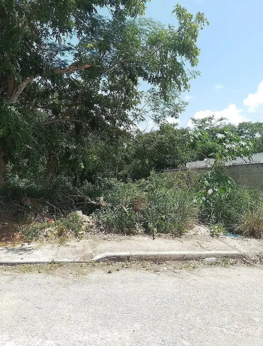 Terreno en Venta en Conkal — foto 3
