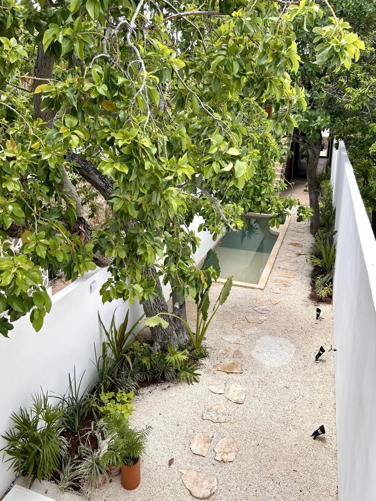 Casa en venta cerca del parque La Plancha — foto 3