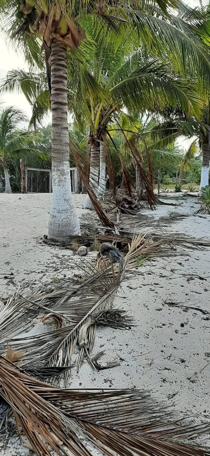 Terreno frente al mar en Santa Clara Yucatán