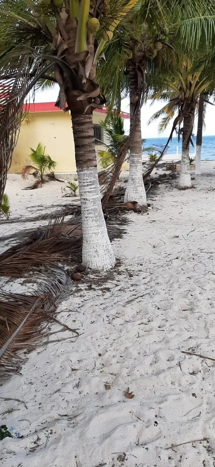 Terreno frente al mar en Santa Clara Yucatán — foto 3