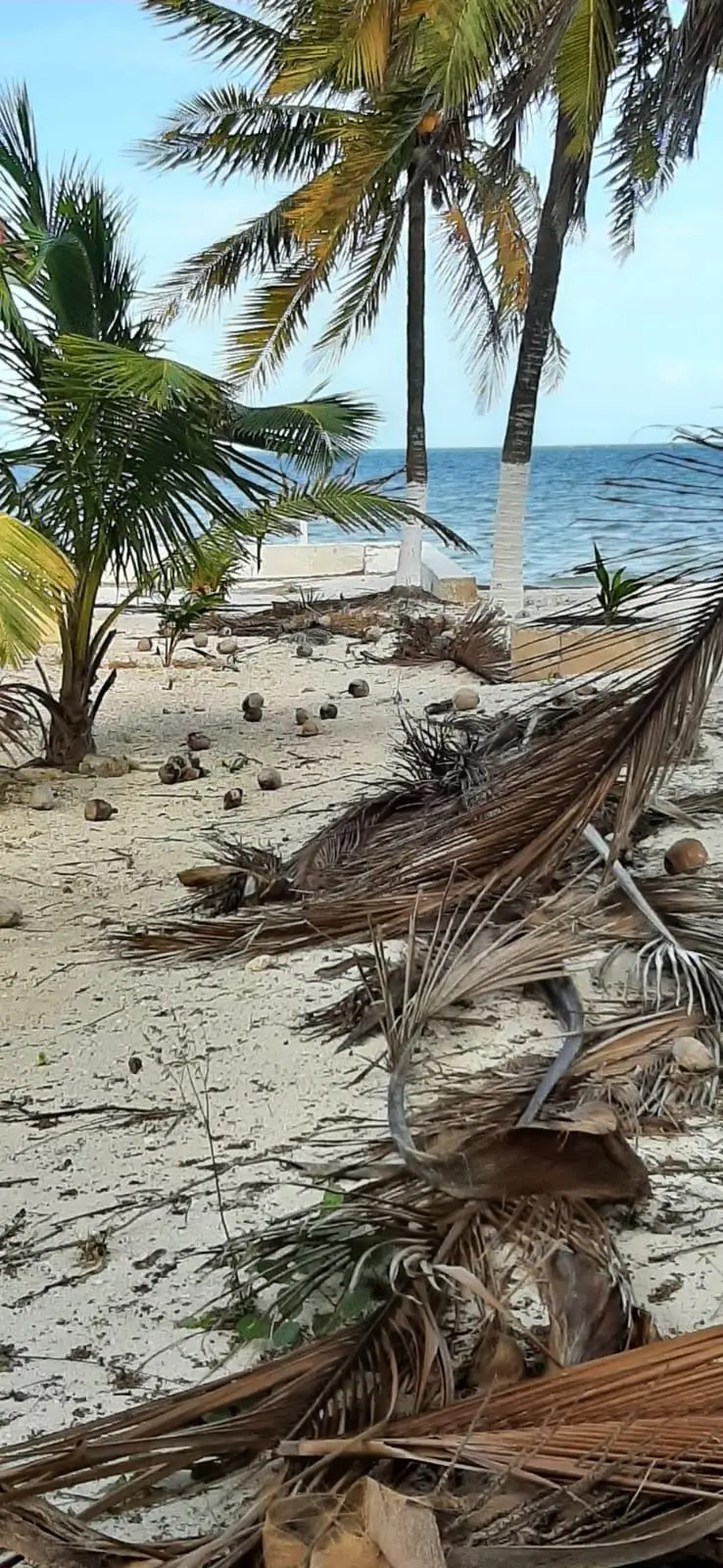 Terreno frente al mar en Santa Clara Yucatán — foto 4