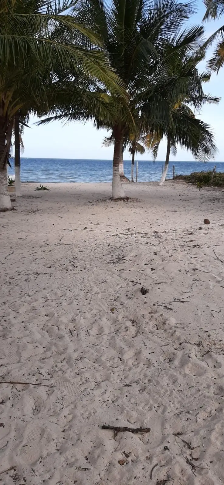 Terreno frente al mar en Santa Clara, YucatánOceanfront land in Santa Clara, Yucatán